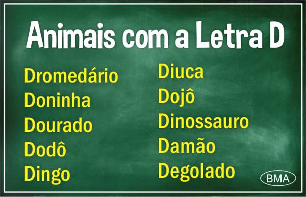 animal com d