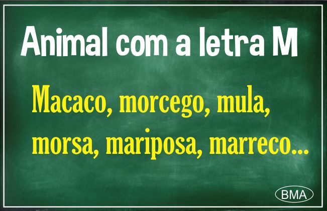 animal com m