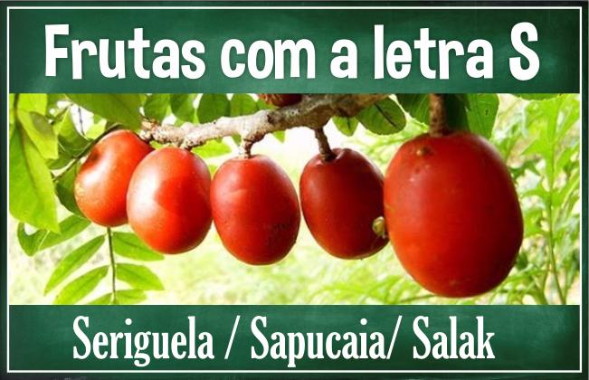 Frutas Que Começam Com A Letra H Poemas Recentes