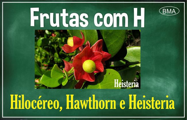 fruta com H