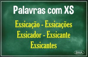 Palavras com XS - BMA