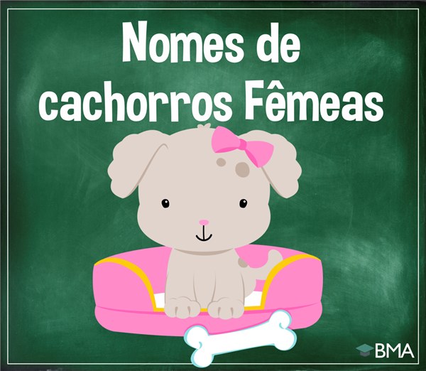 cachorros fêmeas