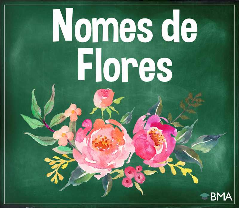 Nomes de flores: Flores raras, flores comuns - BMA